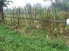Prison farm close up